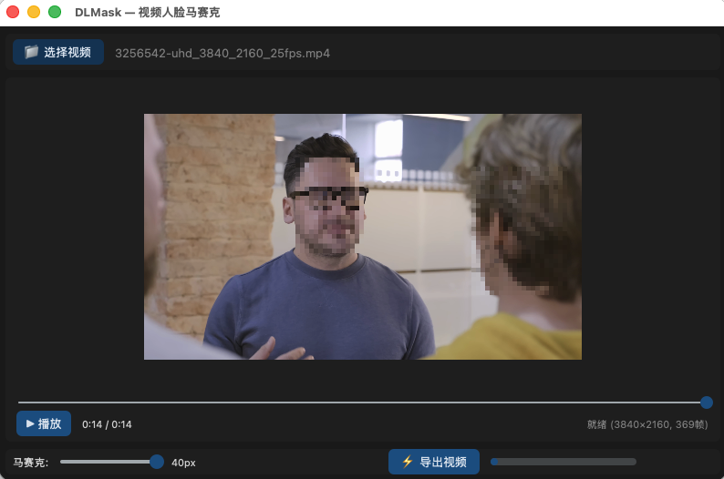 DLMask 应用主界面截图